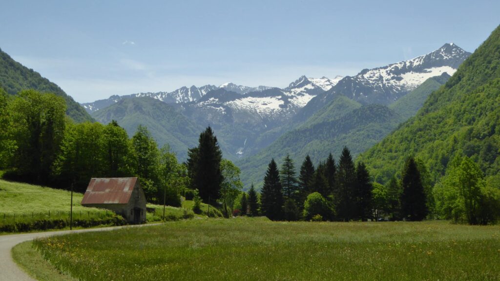 Forêts des Pyrénées Ariégeoises