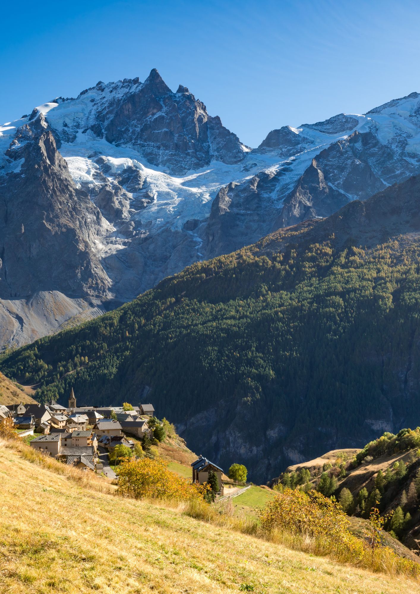 Forêt des Alpes Sud Isère