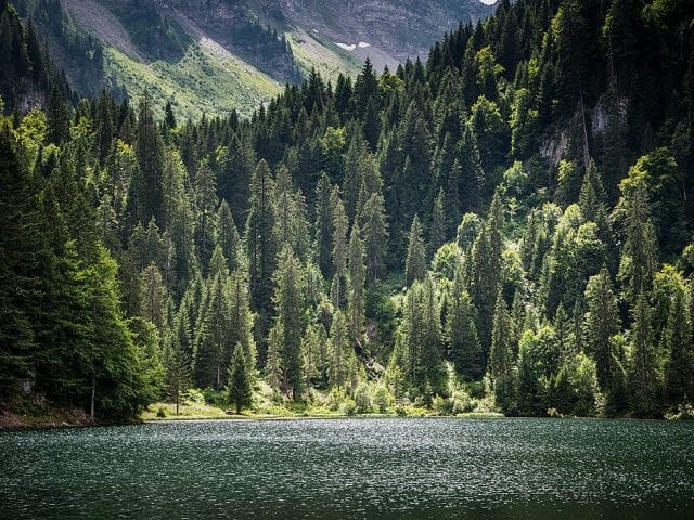 Lac Plagne, forêts du Chablais