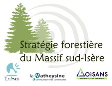 Logo Massif sud-Isère