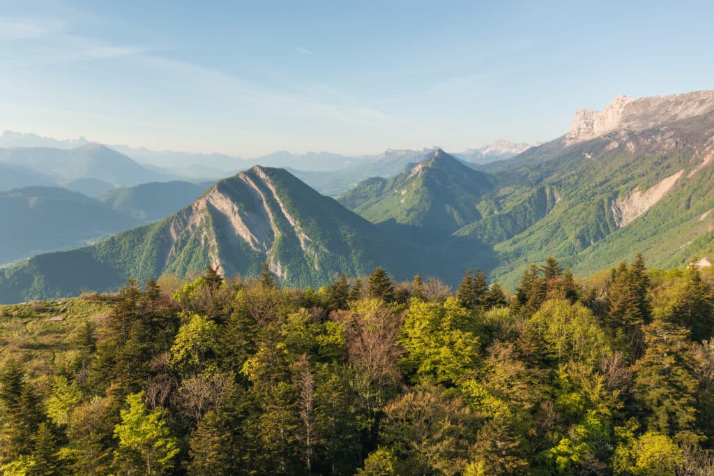 Une réunion de concertation pour identifier les enjeux de la forêt métropolitaine
