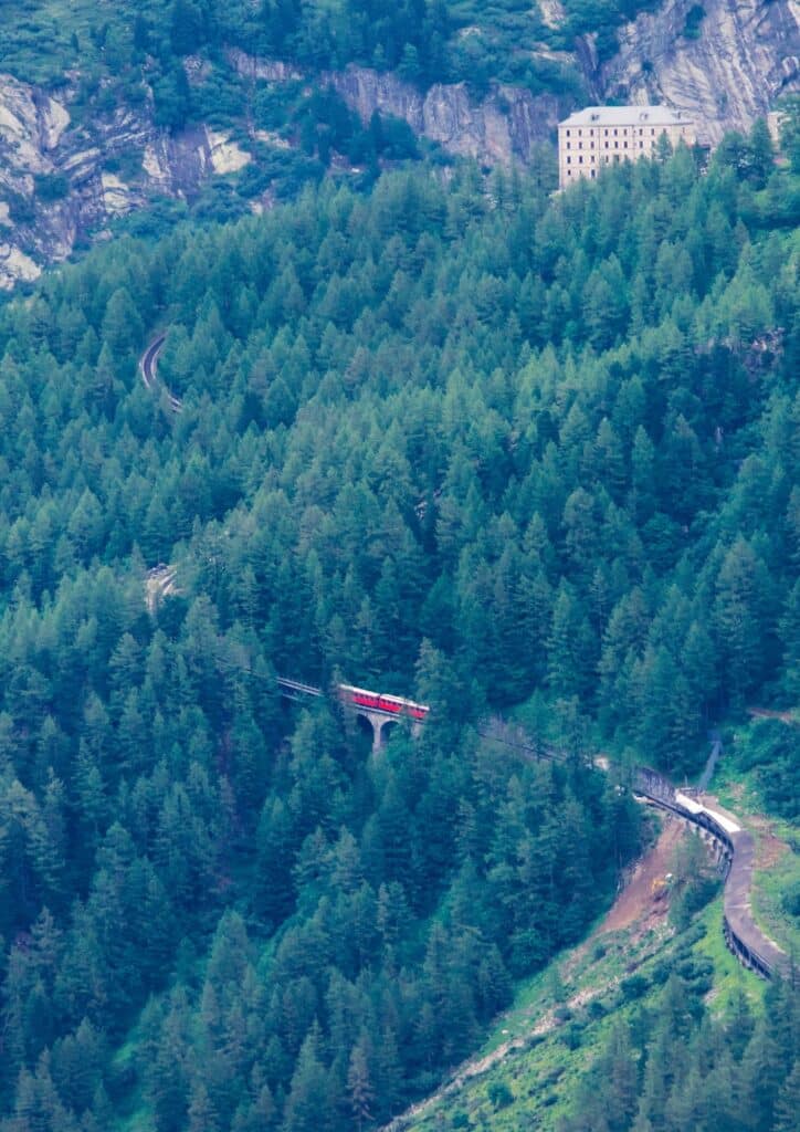 Forêts du Mont-Blanc