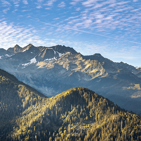 COUV 2020 08 19 Foret Belledonne Alain Douce.HD 15 Couv (1)