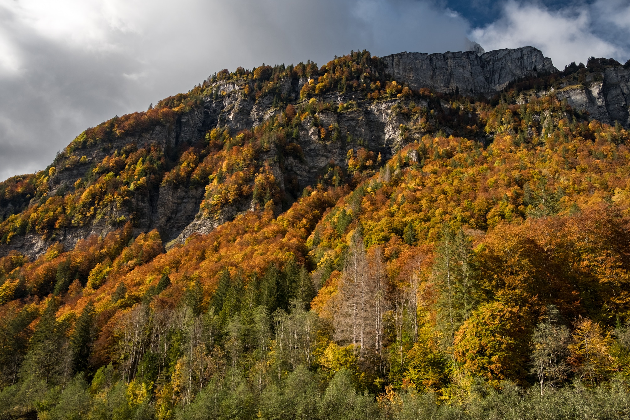 Couleurs d'automne en Auvergne-Rhone-Alpes