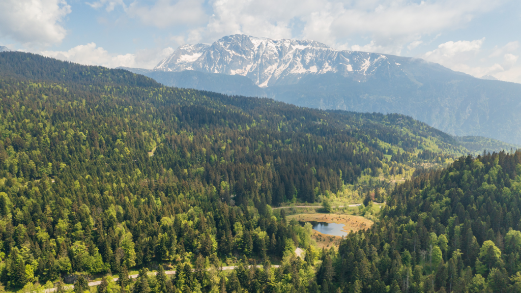 Forets de Grenoble Alpes Métropole par Pierre Jayet