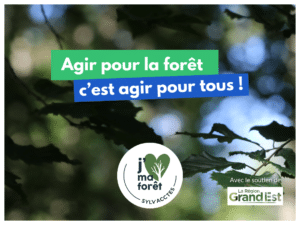 Campagne de don grand public pour agir pour les forêts du territoire