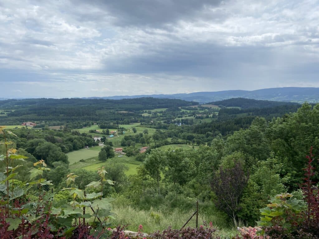 Les forêts du PNR du Livradois Forez