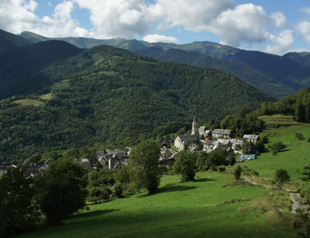 forêts Pyrénées Ariégeoises