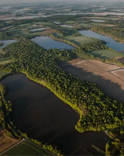 Forêts de la Dombes