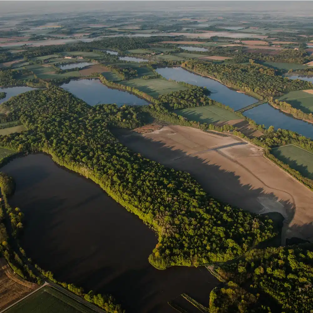 Les forêts de la Dombes