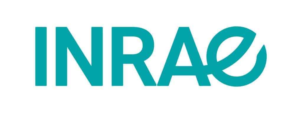 Logo IRAE