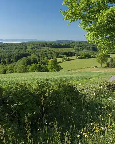 Michel_JOLY__BFC_Tourisme-La Croix des Chèvres-MORVAN