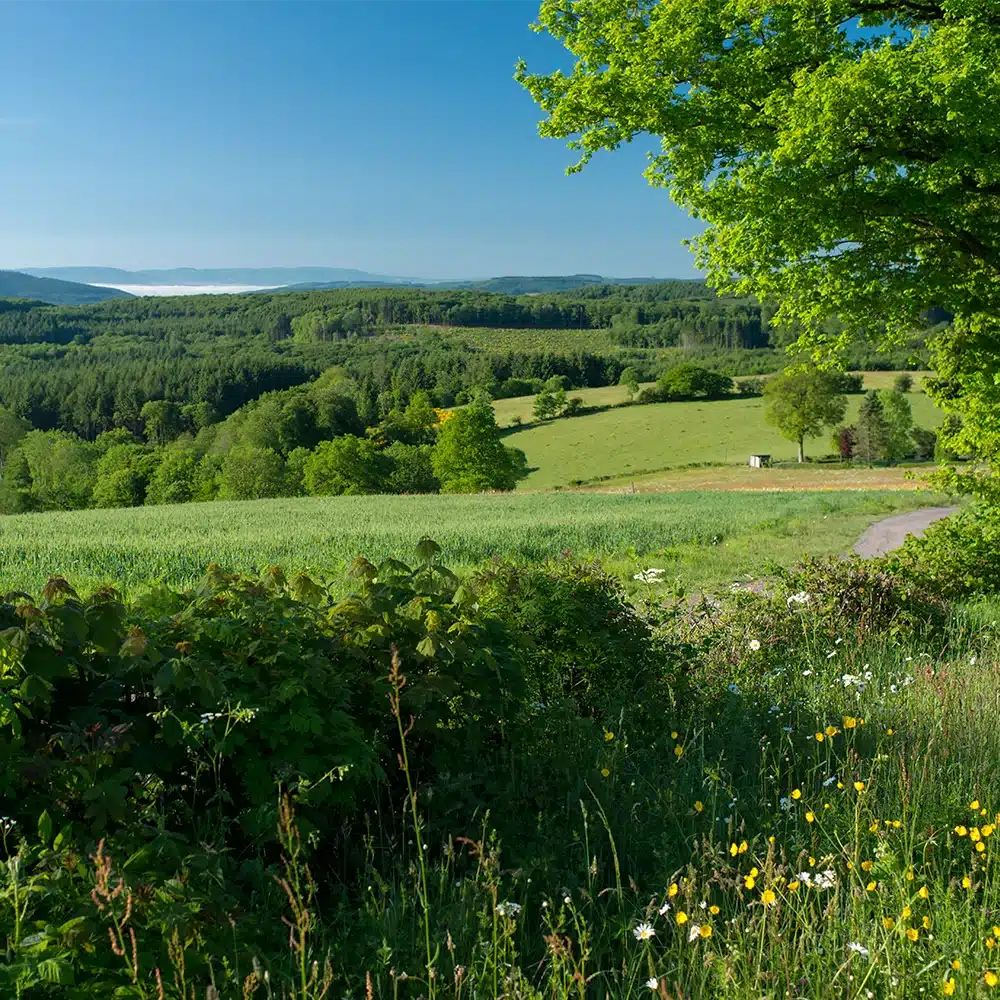 Michel JOLY BFC Tourisme La Croix Des Chèvres MORVAN