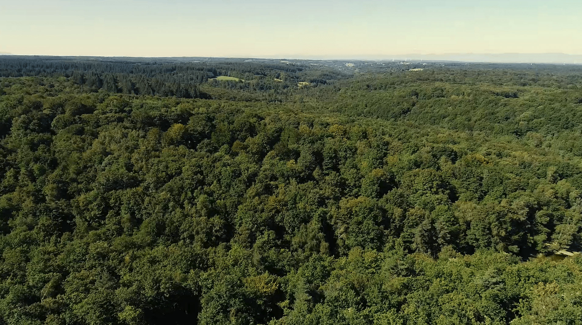 Bas-Dauphiné Bonnevaux forêts vue du ciel