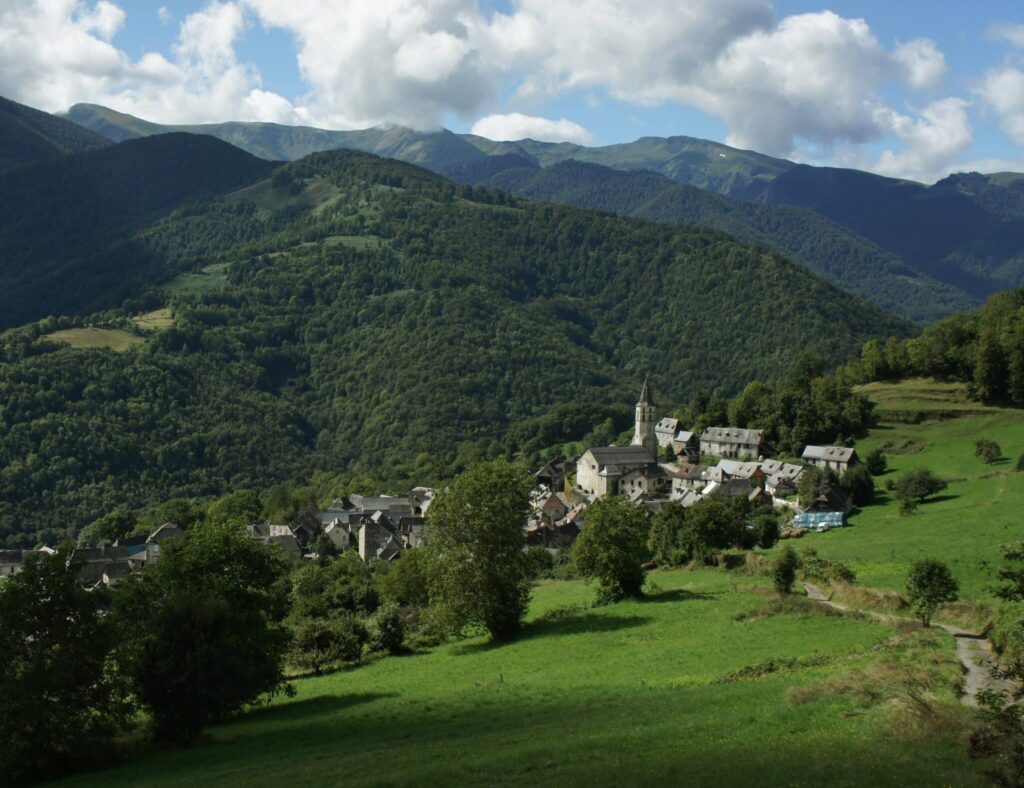 Forêts des Pyrénées Ariégeoises