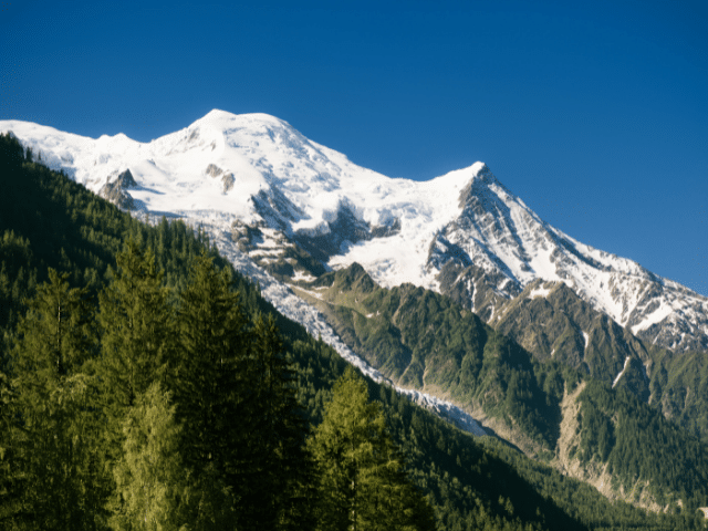 Forêts du Mont-Blanc