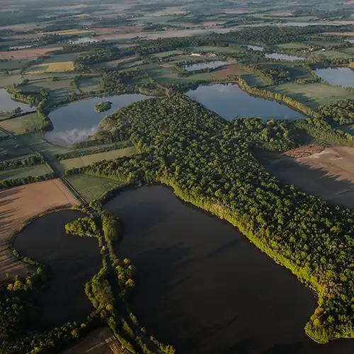 Sylv'ACCTES, les forêts de la Dombes