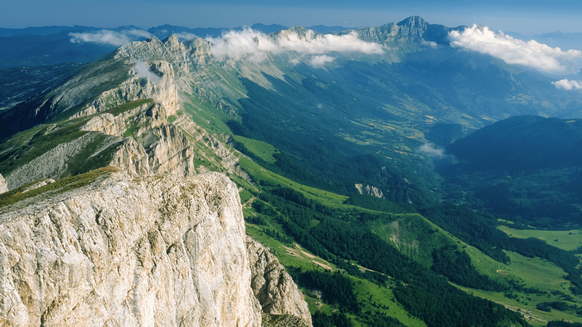 Forêts du Vercors